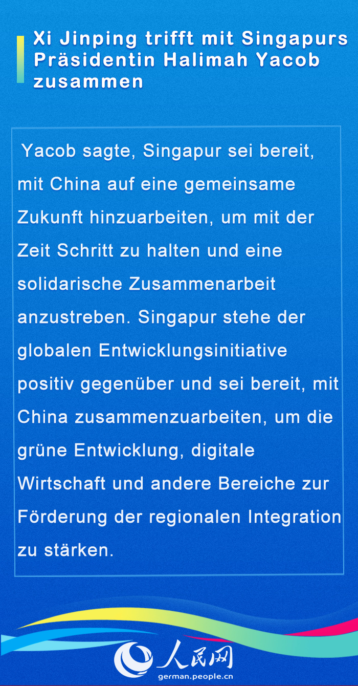 Internationale Gäste im Gespräch mit Chinas Staatspräsident Xi (II)