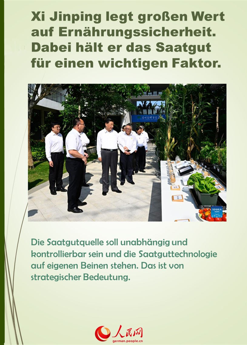 Xi äußert sich über Ernährungssicherheit und Saatgut