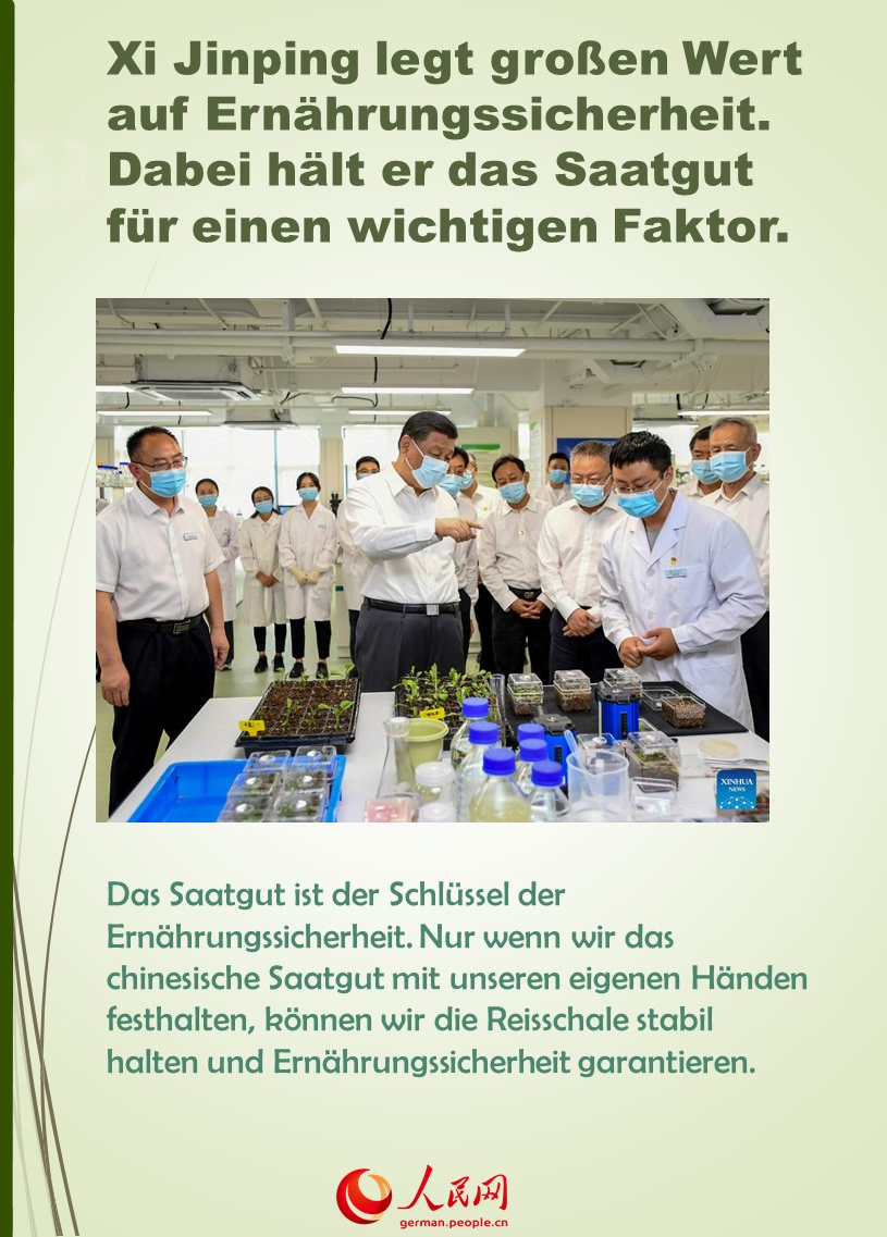 Xi äußert sich über Ernährungssicherheit und Saatgut