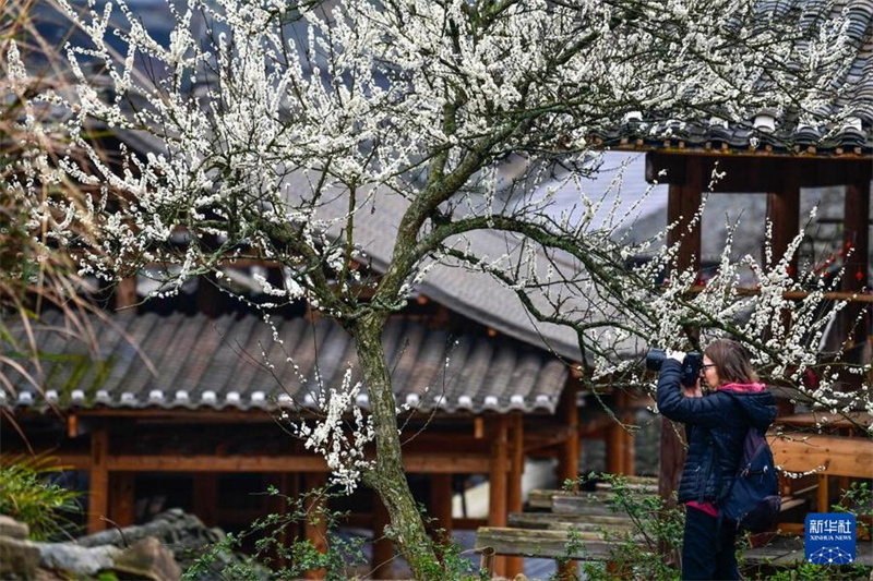 Für ein traditionelles Dorf der Dong in Guizhou ist Tourismus der neue Wachstumsmotor