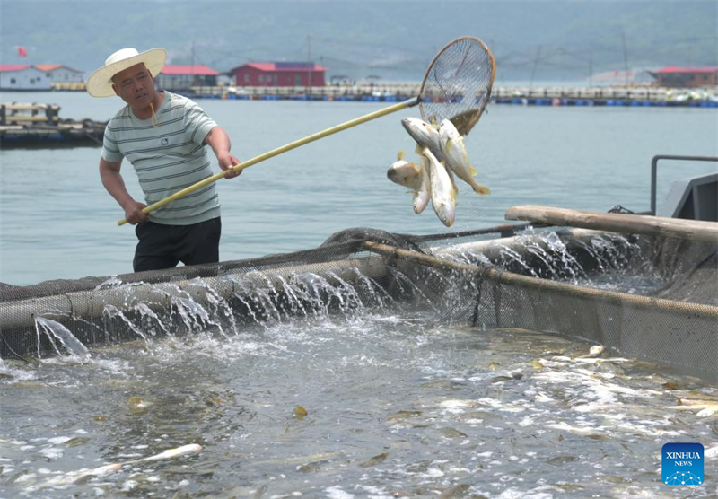 Fujian treibt Entwicklung der Meereskultur voran