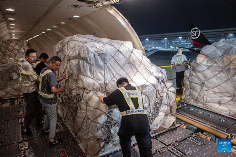 Kumulierter internationaler Durchsatz von Chinas Drehkreuzflughafen übersteigt 100.000 Tonnen