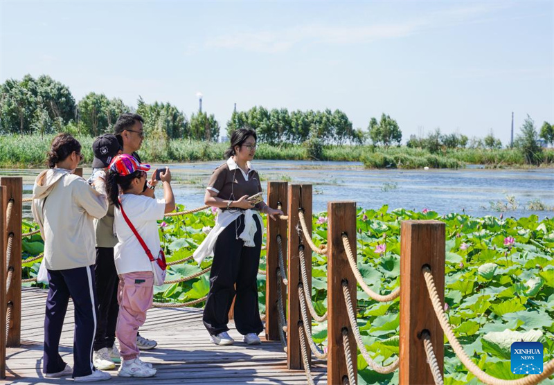 Feuchtgebiete im chinesischen Xinjiang dienen als wichtige ökologische Rückzugsorte