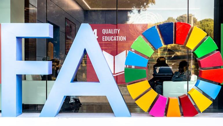 Xi Jinping schickt Glückwünsche zu 80 Jahren FAO                    Der chinesische Staatspräsident Xi Jinping hat am Donnerstag eine schriftliche Grußbotschaft zum 80-jährigen Gründungsjubiläum der Ernährungs- und Landwirtschaftsorganisation der Vereinten Nationen (FAO) übermittelt.