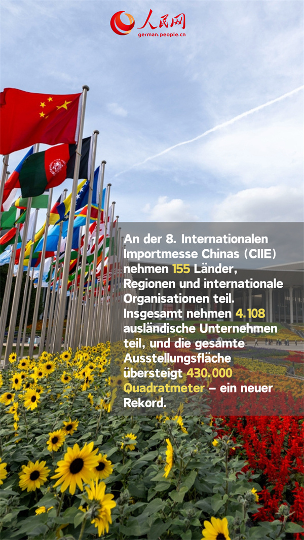 Poster: Highlights der 8. CIIE