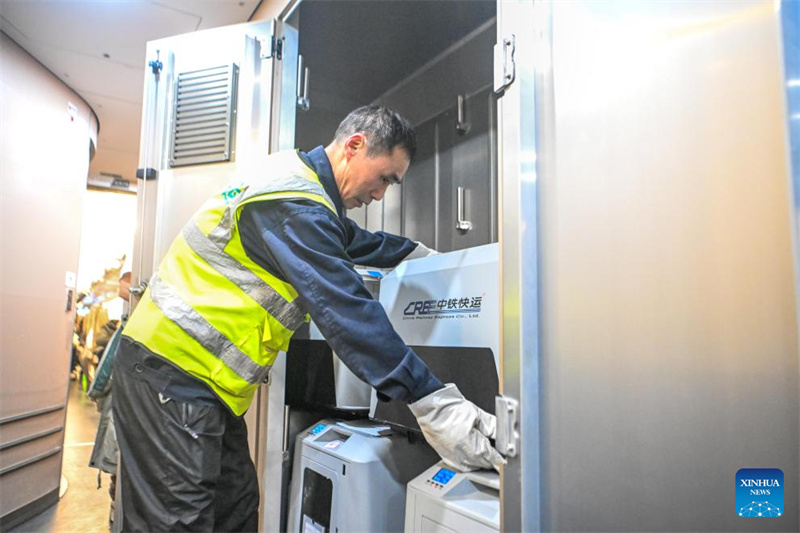 Chongqing startet Pilotprojekt für Haustier-Transport auf Hochgeschwindigkeitsbahnen