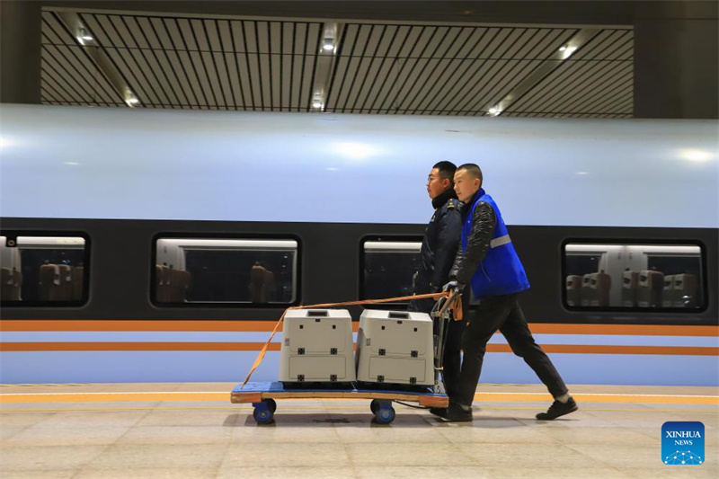 Chinas Bahn bietet zum Frühlingsfest optimierten Hochgeschwindigkeitstransport für Haustiere