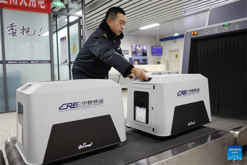 Chinas Bahn bietet zum Frühlingsfest optimierten Hochgeschwindigkeitstransport für Haustiere