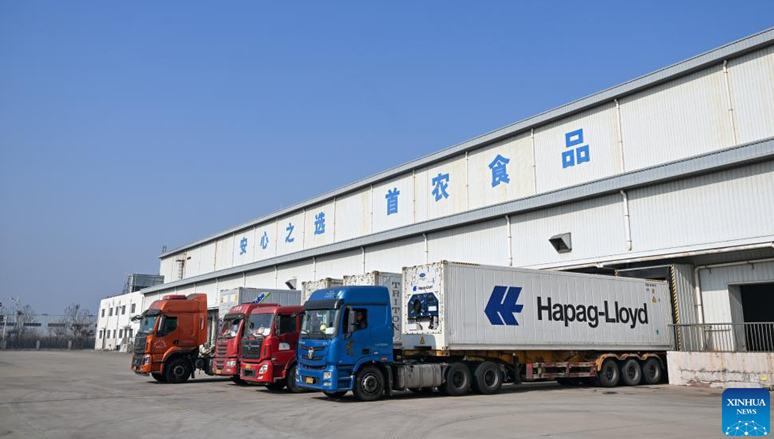 Tianjin eröffnet grünen Kanal für den Import von Frischeprodukten                    Verschiedene Frischeprodukte aus dem Ausland, darunter Kirschen, Schwarztigergarnelen und Bananen, die über Kühlkettenlogistik transportiert wurden, erreichen vor dem Frühlingsfest den Hafen von Tianjin in Nordchina.