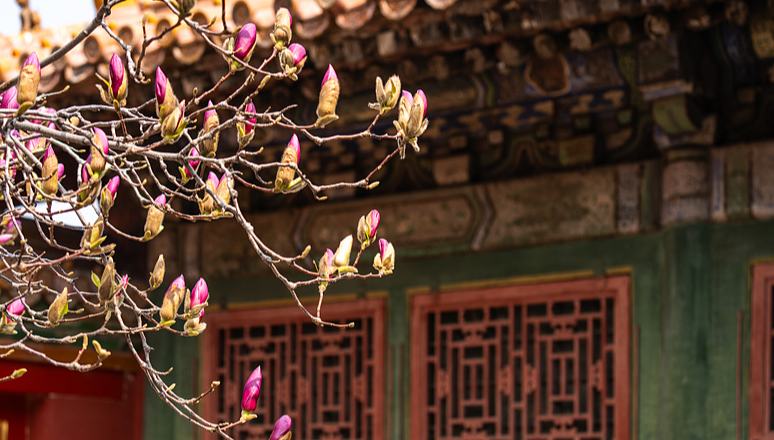 	ZK von KP Chinas und Xi Jinping laden Vorsitzende von Kuomintang zu Besuch auf Festland ein                    Das Zentralkomitee der Kommunistischen Partei Chinas und Xi Jinping, Generalsekretär des ZK der KP Chinas, haben Cheng Li-wun, die Vorsitzende der chinesischen Kuomintang (KMT), vom 7. April bis 12. April zu einem Besuch nach Jiangsu, Shanghai und Beijing eingeladen. 